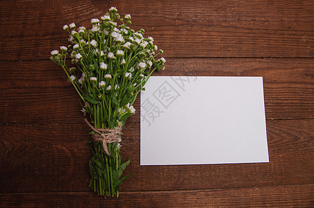 用工艺纸制成的信封旁边是一束洋甘菊花 圣诞节图片