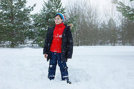 冬天公园里一个可爱的少年男孩图片