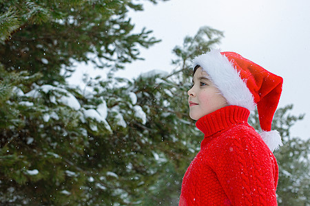 穿红色毛衣的青少年肖像 穿着红色圣天大礼帽 在冬天在公园里站着图片
