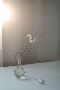 花瓶里的水仙子 在一个舒适的阳光明媚的房间桌子上的花瓶里图片