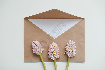 工艺纸信封与白卡和白色背景上的粉红色风信子花 顶视图 平躺 复制空间 节日喜庆的最小背景 新娘图片