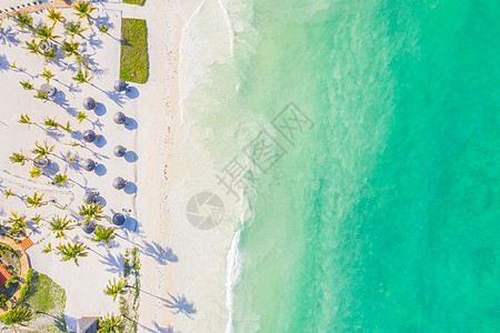 在阳光明媚的日子里 用棕榈树和遮阳伞鸟瞰热带沙滩 在印度洋 桑给巴尔 非洲的暑假 景观与棕榈树 酒店 游泳池 白色沙滩 蔚蓝的大图片
