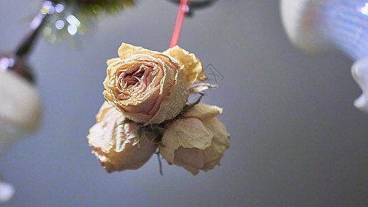 一束纸玫瑰 背景模糊 颜色模糊 艺术 美丽的 花束背景图片