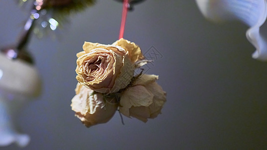 一束纸玫瑰 背景模糊 颜色模糊 浪漫的 金子 老的背景图片
