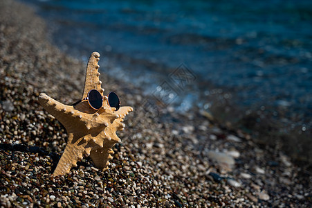 海边一个小石头海滩上的太阳镜中的海星 海浪图片
