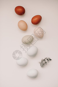复活节快乐的概念 白色背景上天然树荫和颜色的新鲜鸡蛋 农民 假期图片