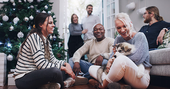 没有小狗就不算圣诞晚会 拍摄的是年轻女子在家里的圣诞派对上抱着她可爱的哈士奇小狗图片