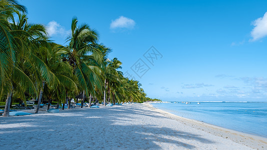 毛里求斯 Le Morne 海滩的热带海滩 带棕榈树和白沙蓝海的热带海滩 以及带雨伞 太阳椅和棕榈树下遮阳伞的沙滩床 早上 蓝色图片