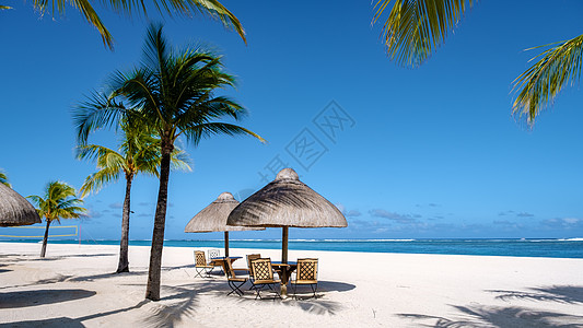 毛里求斯 Le Morne 海滩的热带海滩 带棕榈树和白沙蓝海的热带海滩 以及带雨伞 太阳椅和棕榈树下遮阳伞的沙滩床 非洲 异国图片