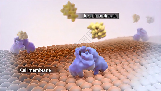 细胞膜和葡萄糖分子的功能 渗透作用 细胞质 胞吞作用 癌症图片