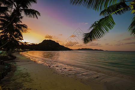 Praslin塞舌尔热带岛屿 有海滩和棕榈树 在塞舌尔海滩上日落 丛林 夏天图片