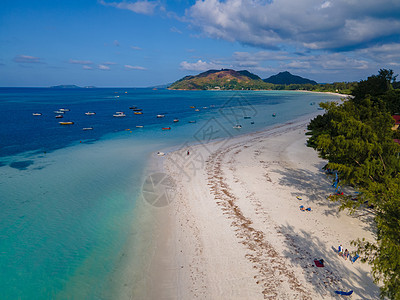 Praslin塞舌尔热带岛屿 有海滩和棕榈树 位于塞舌尔海滩 异国情调 海岸图片