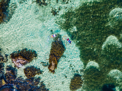男人和女人在海洋中浮潜 普拉兰塞舌尔热带岛屿 拥有海滩和棕榈树 海滩 天空 海岸线图片