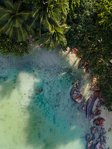 Praslin塞舌尔热带岛屿 有海滩和棕榈树 位于塞舌尔海滩 椰子 安斯图片