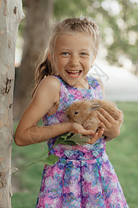 小姑娘和兔子坐在绿草地上 复活节那天 可爱的小女孩拿着兔子在她手里 夏天 幸福图片