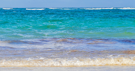 马尾藻海岸和海滩全景观察 假期 美丽的 海岸线 金塔纳罗奥州 旅游背景