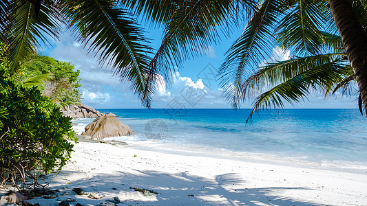 血管保护海滩 拉迪格岛 西谢勒斯 白沙滩 有蓝海和棕榈树 银色 热带图片
