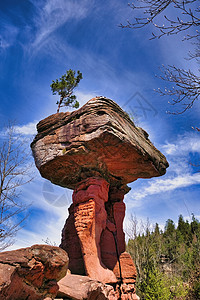 表 德国帕拉蒂茨森林的岩石形成情况图片