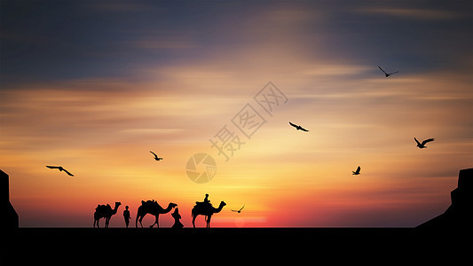 夕阳下的骆驼队剪影背景图片