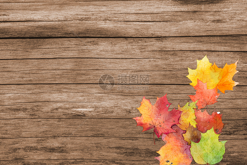 木板上的秋叶图片