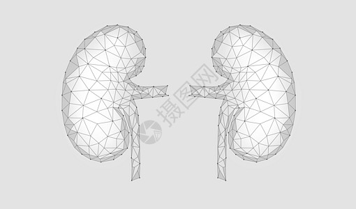 几何图形肾科技线条腰子高清图片