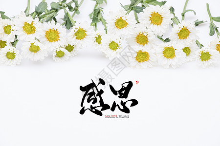 高清唯美图片 > 感恩的心图片