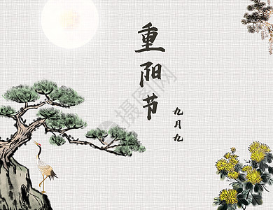 重阳节菊花盆景高清图片