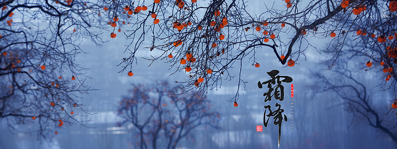 霜降设计图片