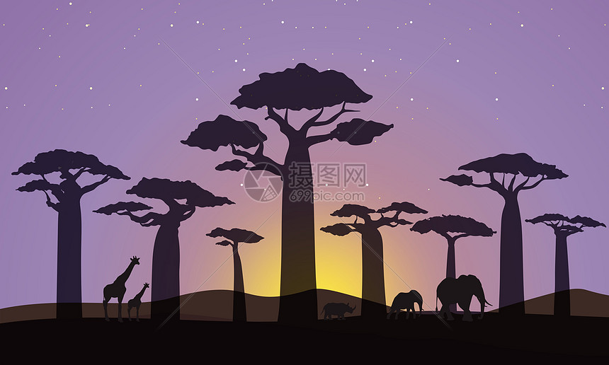 非洲夜景图片