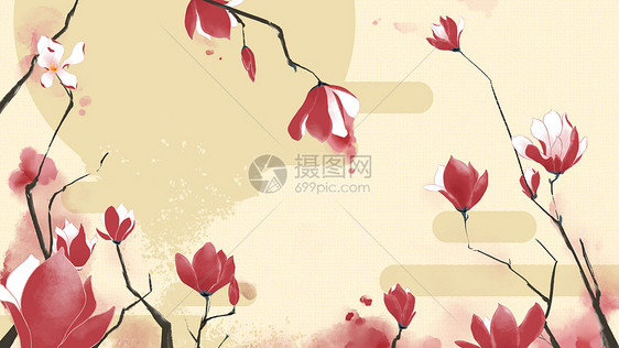中国风水墨玉兰花背景图片