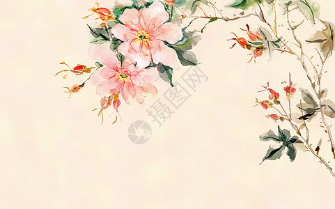 中国风花卉背景插画背景图片