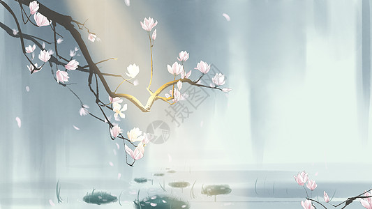 中国风手绘玉兰花插画背景图片