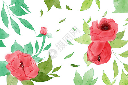 手绘植物花朵背景图片
