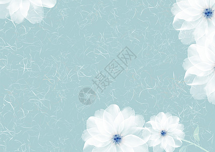 商用唯美花朵背景素材唯美白兰花背景设计图片