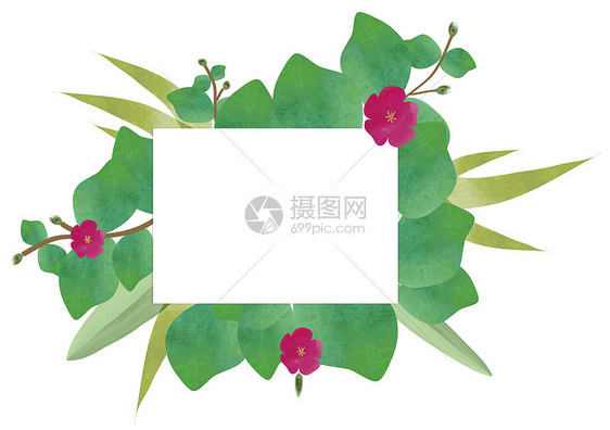 手绘水彩绿色叶子装饰框图片