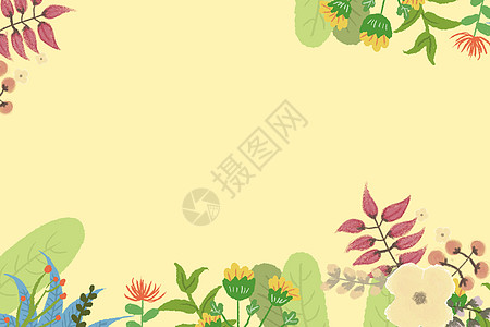 植物背景插画图片