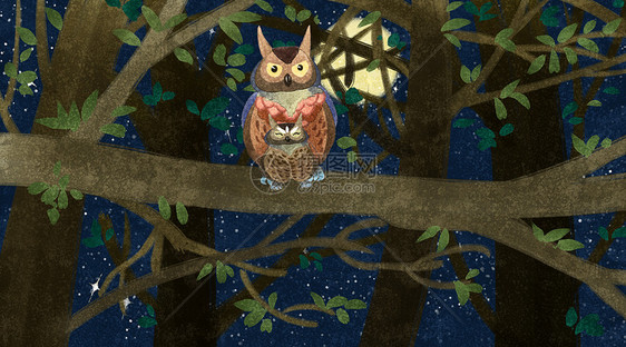 黑夜森林里的猫头鹰母子（父子）图片