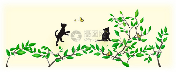 玩耍的猫图片