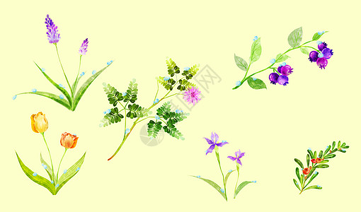 彩绘植物素材背景图片