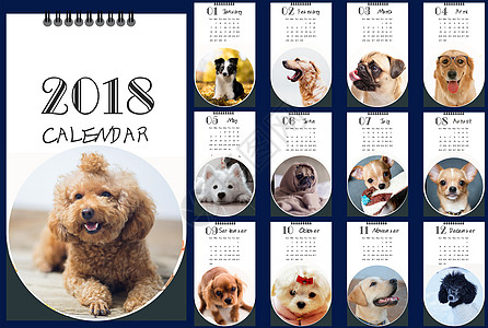 泰迪狗2018年狗狗日历插画