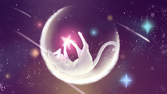星空猫咪图片素材