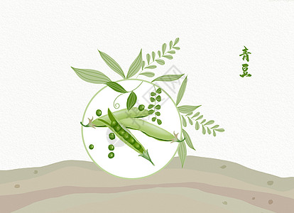 植物插画豌豆图片