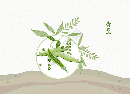 植物插画豌豆背景图片