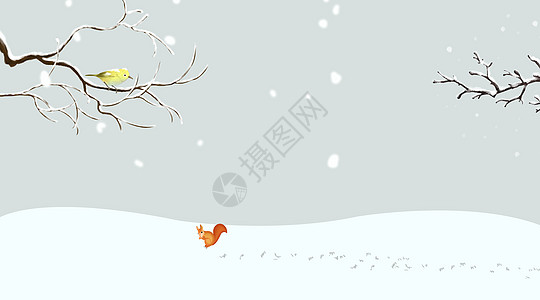 雪地里的小松鼠高清图片