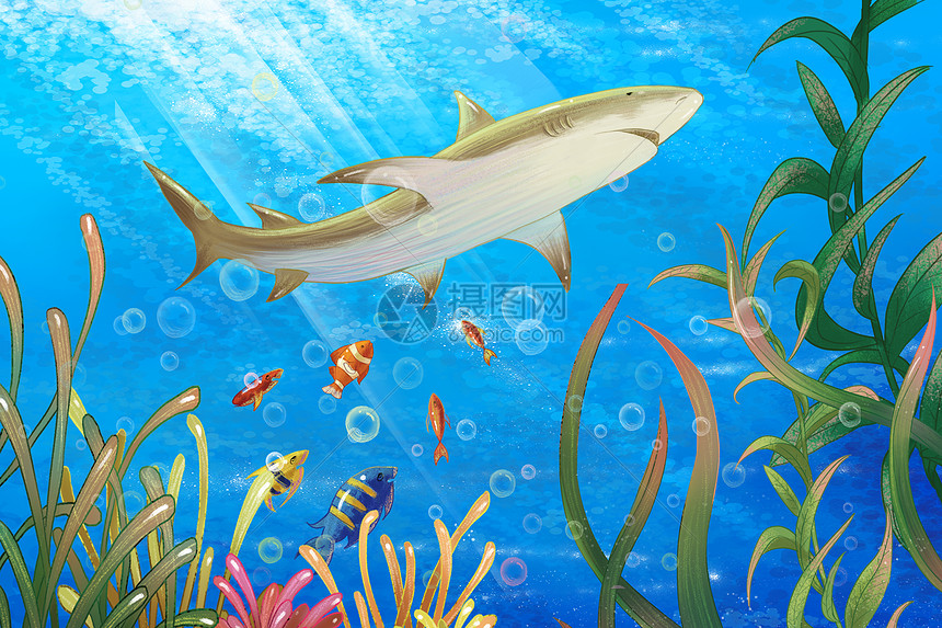 海洋世界鲨鱼插画图片下载 正版图片 摄图网