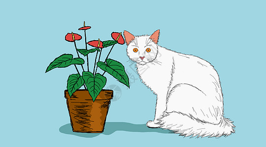 宠物素描白猫和盆栽素描插画插画