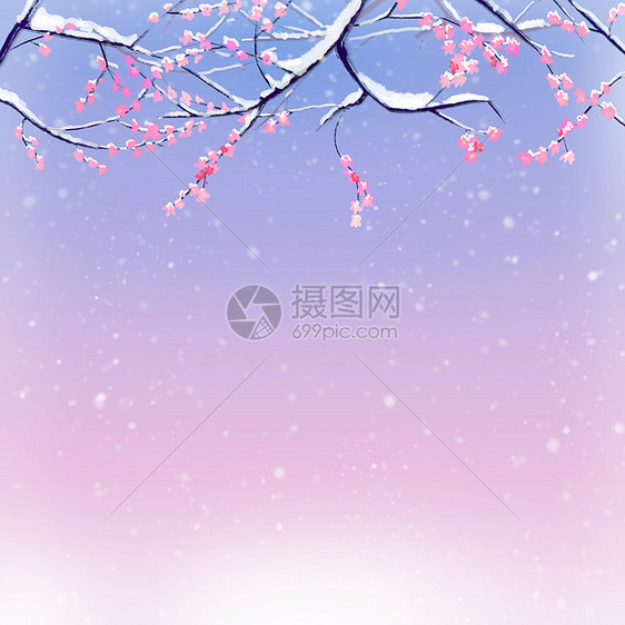 梅花雪景图片