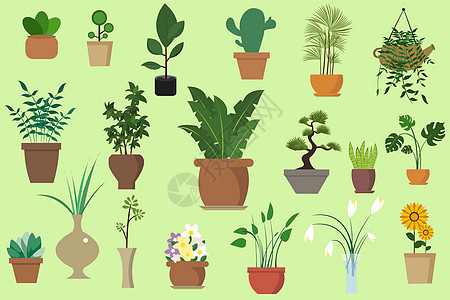 植物集绿色爆盆高清图片