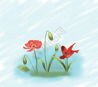植物和七星瓢虫背景图片