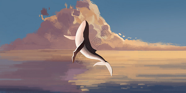 海洋鲸鱼夕阳插画图片